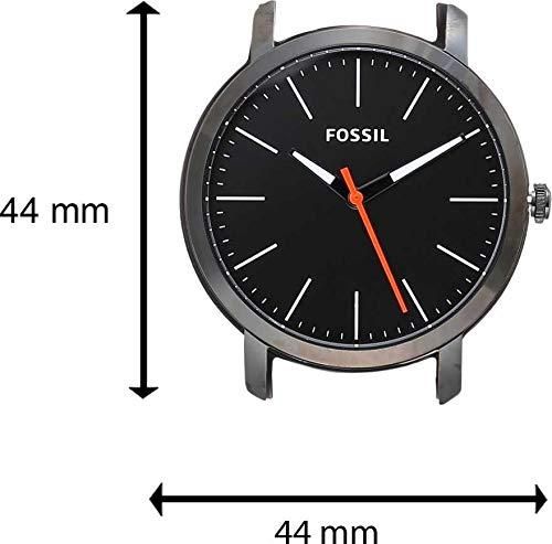 Fossil Analog